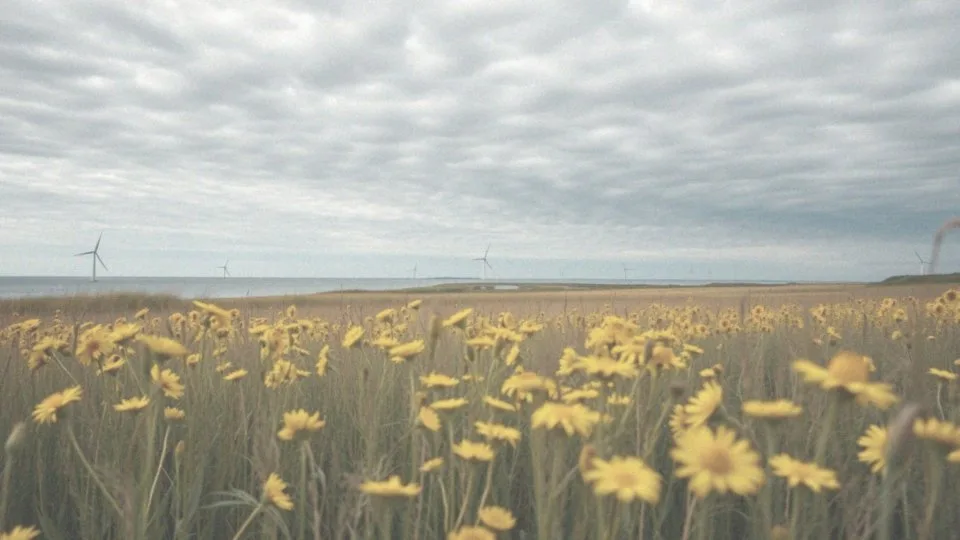 Jak siła wiatru kształtuje ciśnienie atmosferyczne?