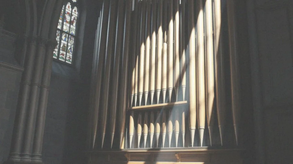 Organy kościelne z Holandii – historia i znaczenie w liturgii