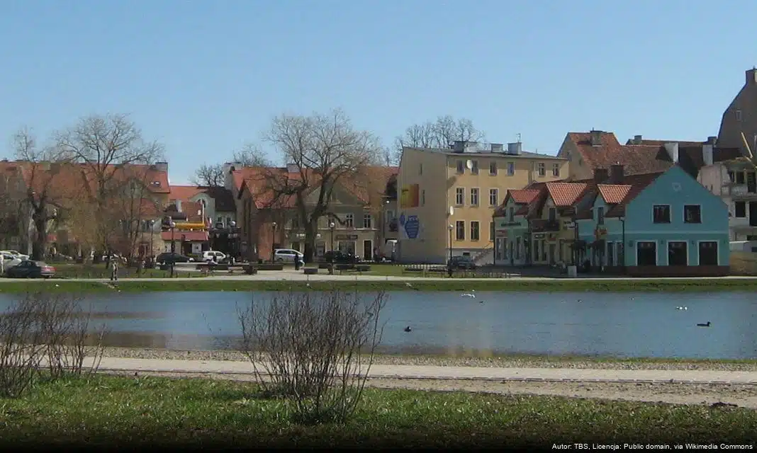 Renowacja miejskiej zieleni w Mrągowie – nowe drzewa w miejsce chorych